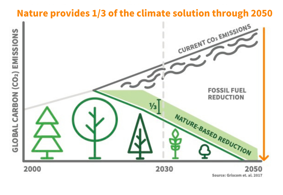 Nature provides 1/3 of climate solution through 2050